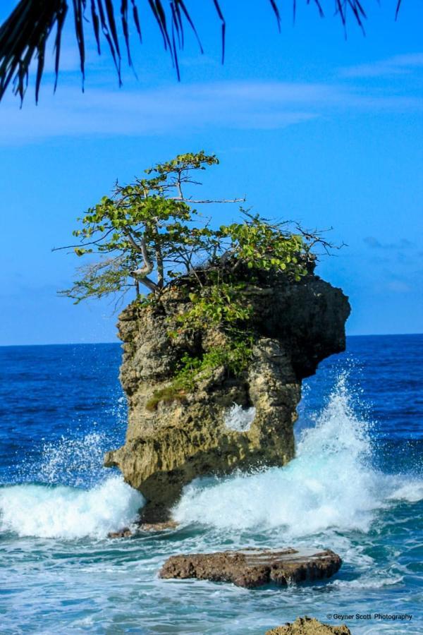 Puerto Viejo de Talamanca Cabinas Mitchaelle'S מראה חיצוני תמונה